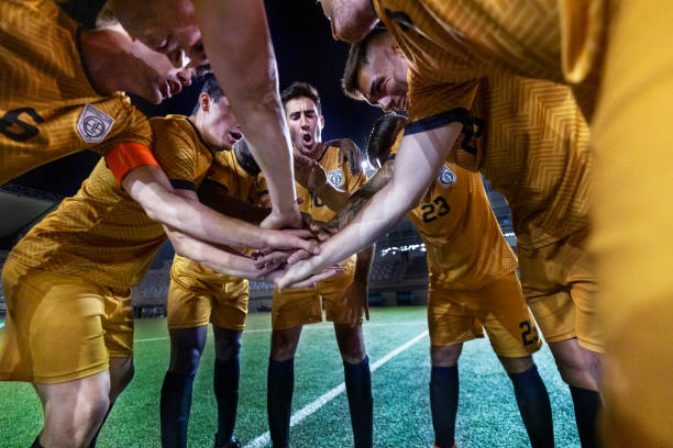 的默契配合 的默契配合