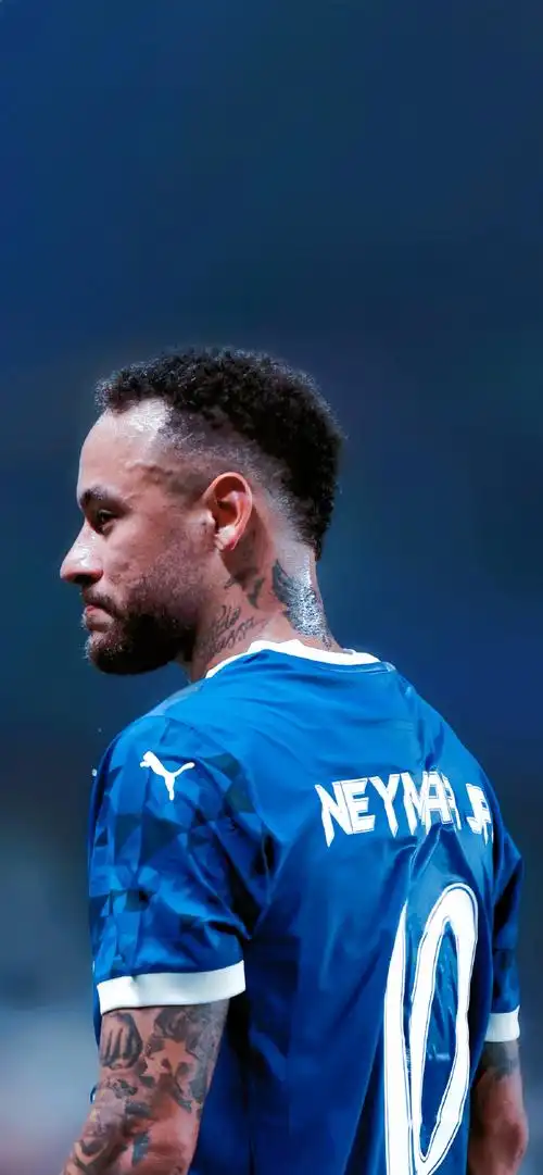 观众和组织 观众和组织